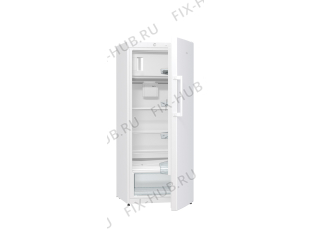 Холодильник Gorenje RB6152BW (509408, HTS2769F) - Фото